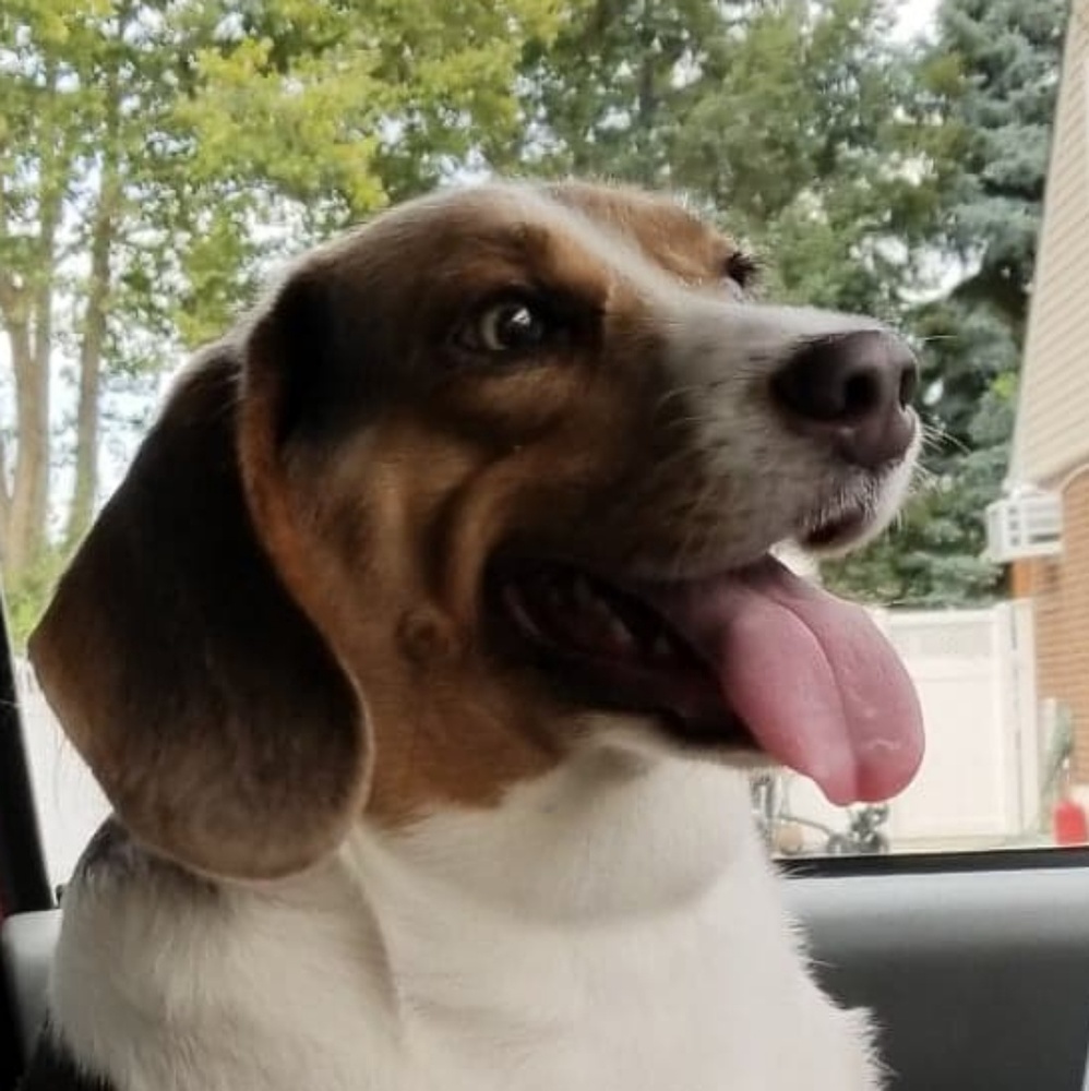 Meet your Posher, Sarahy